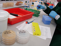 lab bench