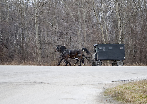 buggy with horses